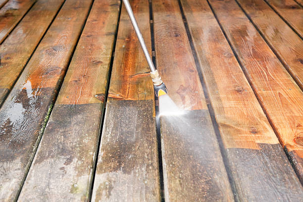 Animal Enclosure Cleaning in Hooverson Heights, WV